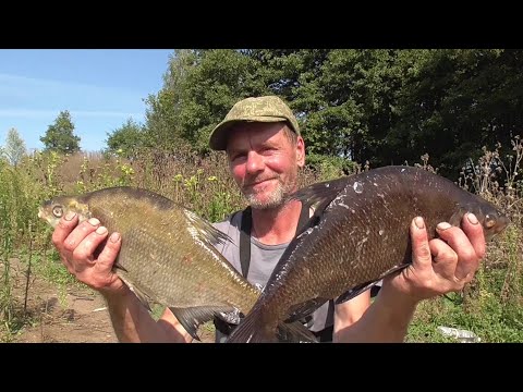 Видео: Хапнул адреналина! Потягался с огромным сомом. Лещ, карась, карп. Рыбалка в Беларуси на Свислочи.