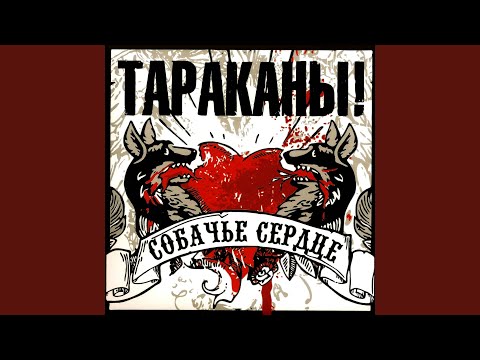 Видео: Собачье сердце