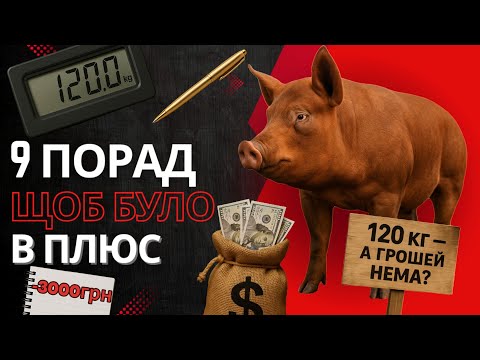 Видео: Свині і Гроші: Формула Прибутку зі Свиней.