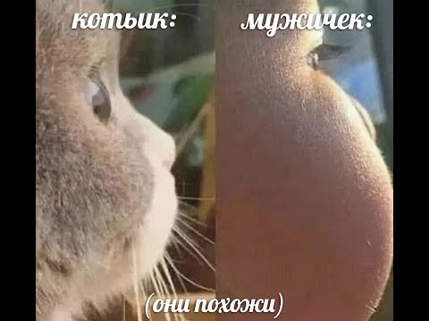 Видео: Критика Ваших фотографий!