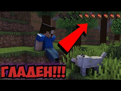 Видео: "ИЗГУБЕНИ. И ГЛАДНИ!!!