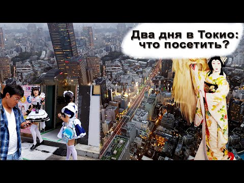 Видео: ТОКИО. Самое  интересное за два дня: ГИНДЗА,  КВАРТАЛ АНИМЕ,  ТЕАТР КАБУКИ,  РЫБНЫЙ РЕСТОРАН.