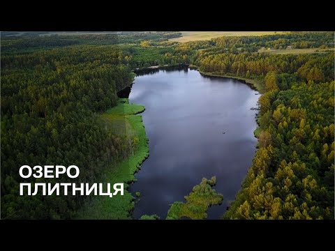 Видео: Дика природа / Неймовірне озеро Плитниця / Великий амур / Риболовля в завоз
