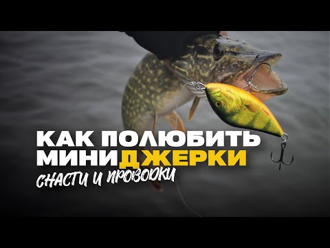 Видео: Уловистые Недо Джерки на Щуку Как Ловить Снасти и Проводки