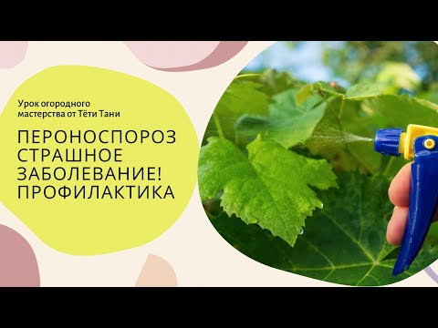 Видео: От пероноспороза. Профилактика важнее.