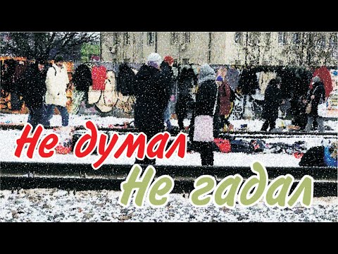 Видео: Редкая Маша и Медведь Ламповые фотоаппараты Барахолка в Киеве