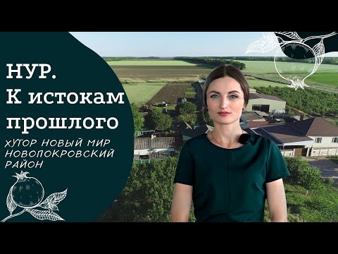 Видео: Хутор Новый мир, Новопокровский район | Проект "НУР. К истокам прошлого" | Карские армяне