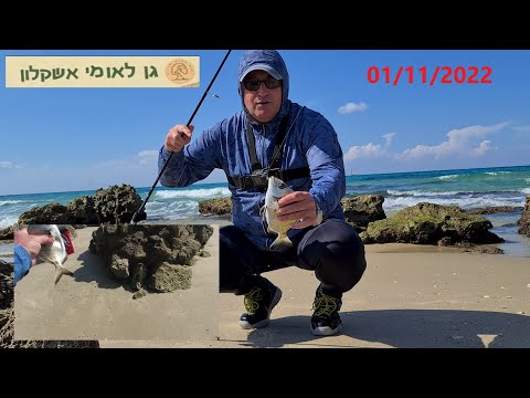 Видео: 4K 01/11/2022 Ashkelon אשקלון Ашкелон fishing דיג рыбалка
