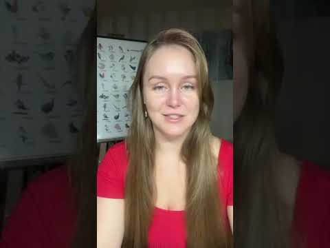 Видео: Ann Astro - прямой эфир 1 сентября