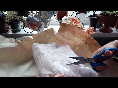 Видео: А у меня снова, цветочные новинки