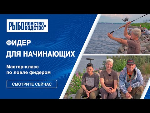 Видео: Фидер для начинающих | Мастер-класс по фидерной ловле 2023