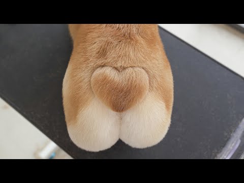 Видео: Кто хочет попробовать этот хлеб, наполненный любовью?