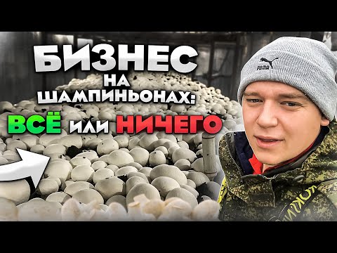 Видео: НЕ ВЫРАЩИВАЙ ШАМПИНЬОНЫ ПОКА НЕ ПОСМОТРИШЬ ЭТО ВИДЕО! Не получилось! Прогорел! Причина???