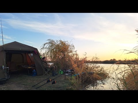 Видео: Дністер. Осіння риболовля з ночівлею в наметі на березі річки. Готую на природі. Смажена плотва