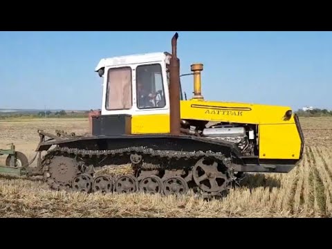 Видео: Гусеничный трактор Т-404 Культивация стерни