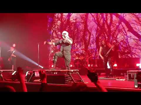 Видео: Алиса.Брянск.15.10.2025