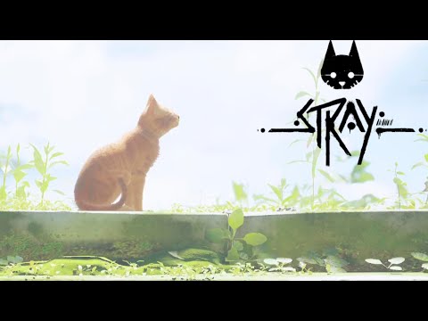 Видео: STRAY | КОНЕЦ