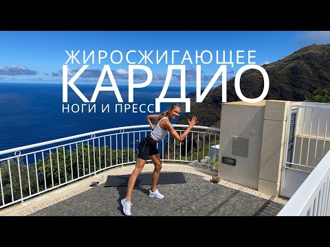 Видео: ЖИРОСЖИГАЮЩЕЕ КАРДИО ЗА 20 МИНУТ // ДОМАШНЯЯ КАРДИО ТРЕНИРОВКА НА НОГИ И ПРЕСС