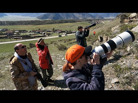 Видео: Фотоохота на Алтае ч.1