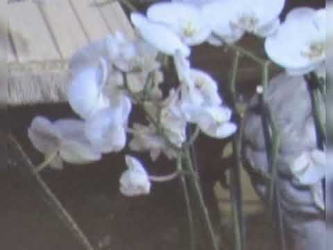 Видео: ранетки – о тебе (speed up)