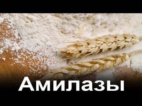 Видео: Технология пива. Затирание. Амилолитические ферменты