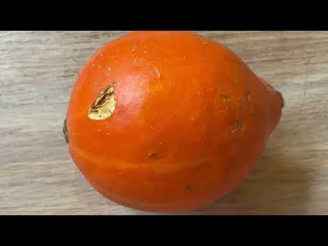 Видео: Почему у меня нет рецепта крем-супа из тыквы 🎃? Тыква и низко углеводный рацион |Диабет 