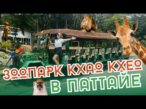 Видео: Зоопарк Кхао Кхео (Khao Kheow) в Паттайе. Жирафы, слоны и маленький бегемотик Му Денг из Таиланда.