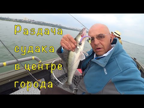 Видео: СУДАК на джиг. РЕЗИНА против МАНДУЛ.