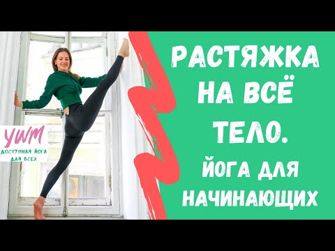 Видео: РАСТЯЖКА НА ВСЕ ТЕЛО. Упражнения для растяжки спины, ног, рук. Йога для начинающих I Йога с чудом