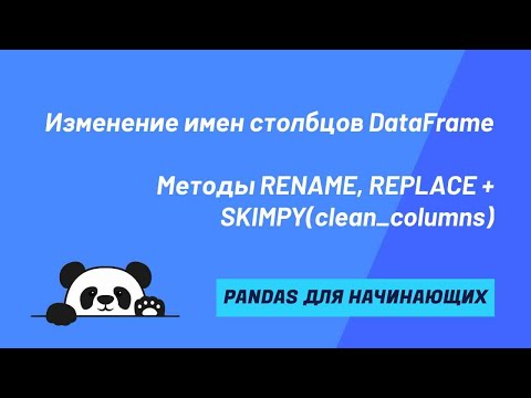 Видео: Изменение имен столбцов DataFrame. RENAME, REPLACE + SKIMPY (clean_columns)