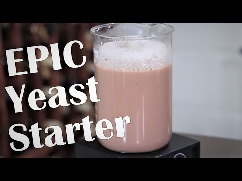 Видео: Создание лучшего дрожжевого стартера