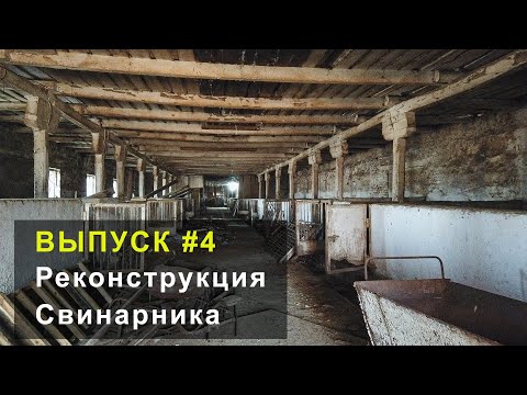 Видео: Начинаем внутренние ремонтные работы в свинарнике. Выпуск №4
