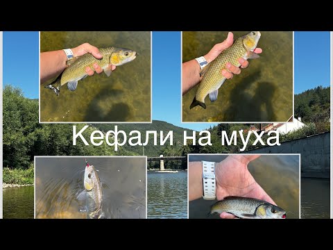 Видео: РИБОЛОВ с МУХА на река СТРУМА в Бобошево!