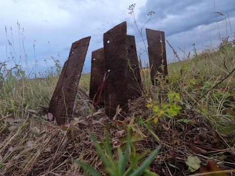 Видео: Сбросы металла сделали весь Коп.Рекорд по лемехам.#shorts #metaldetecting #коп