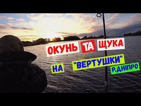 Видео: щука окунь на вертушку #спінінг #щука #окунь