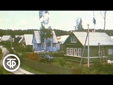 Видео: Товары для дачи. Наш сад (1989)