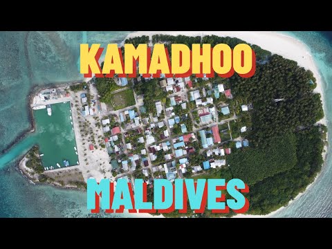 Видео: Камаду, Мальдивы! Kamadhoo, Maldives! Манты, Летучие Лисицы, Крабы, Дельфины!