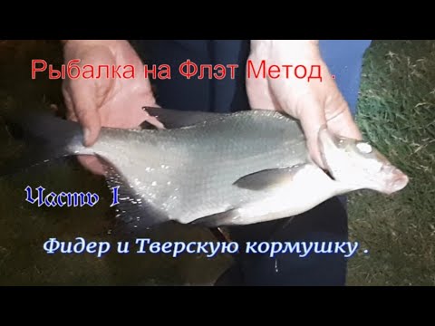 Видео: Рыбалка на Флэт Метод .  Фидер и Тульскую кормушку . #рыбалка #рыбалканафидер #лещнафидер