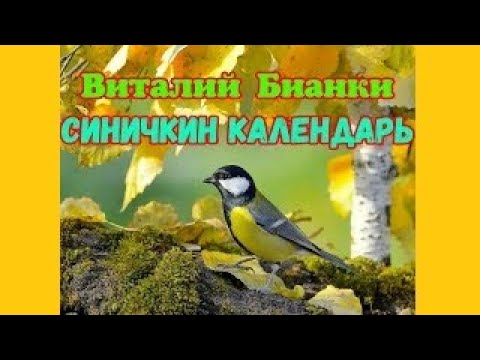 Видео: Сентябрь "Синичкин календарь" Виталий Бианки. Аудиорассказ с картинками