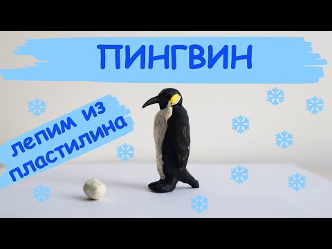 Видео: Лепим пингвина из пластилина. Интересные факты о пингвинах.