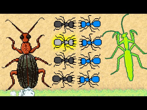 Видео: МУРАВЬИНАЯ АТАКА НА ДРУГИЕ МУРАВЕЙНИКИ! - Pocket Ants Симулятор Колонии