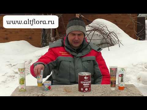 Видео: Можно ли закрашивать краской спилы и срезы после обрезки