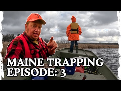 Видео: Remote Maine Trapline, эпизод 3: Преодоление неудач и новый план по увеличению количества меха в ...