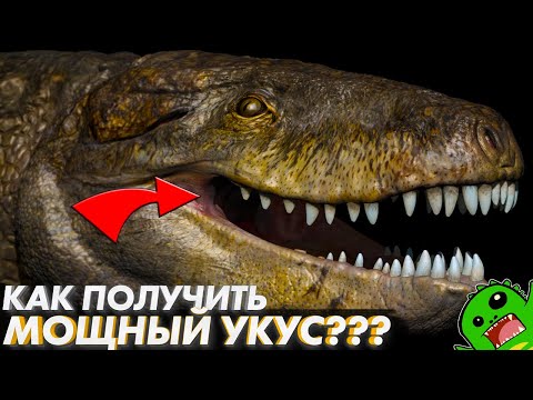 Видео: КАК ПОЛУЧИТЬ МОЩНЫЙ УКУС и как появились твои скулы?
