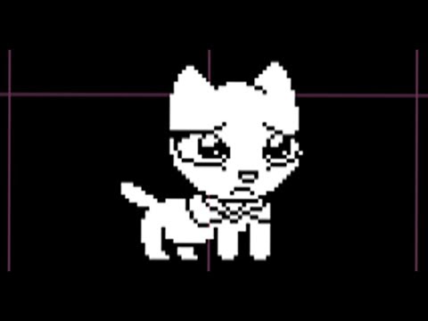 Видео: ДОСТАВУЧАЯ КОШКА!