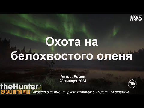 Видео: Охота на белохвостого оленя в theHunter Call of the Wild (Revontuli Coast)