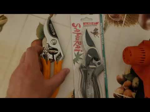 Видео: Формировка деревьев,секатором Samurai KS-8T 👍💪🌳