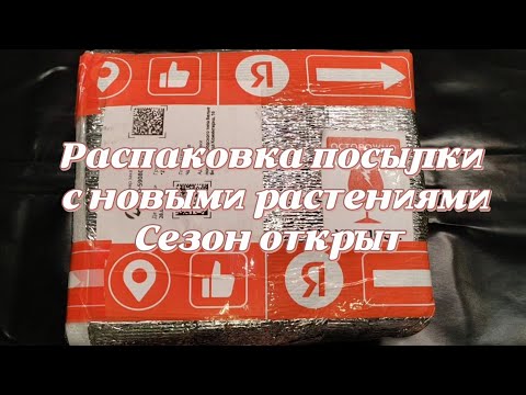 Видео: РАСПАКОВКА ПОСЫЛКИ С НОВЫМИ РАСТЕНИЯМИ🌿 | СЕЗОН ОТКРЫТ