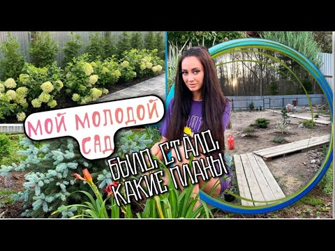 Видео: ПЕРЕЕХАЛИ ИЗ МОСКВЫ В ДОМ У ЛЕСА #1.Первый обзор моего молодого сада.