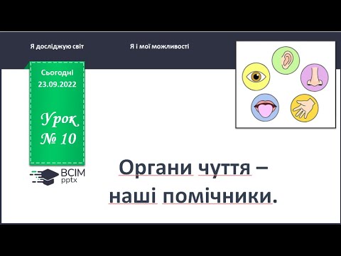 Видео: ЯДС 1 клас. Урок 10. Органи чуття - наші помічники.